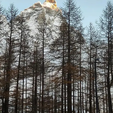 Cervino's View - In Out Breuil-Cervinia
